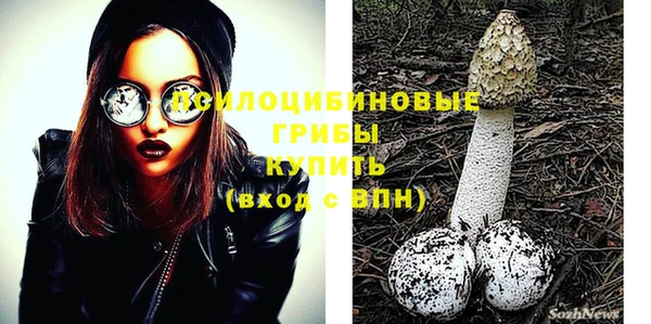 стафф Осинники