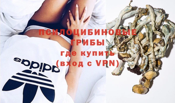 прущие грибы Валуйки