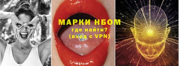 стафф Осинники