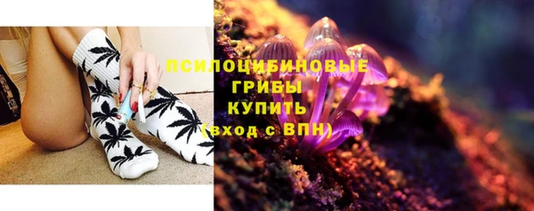стафф Осинники