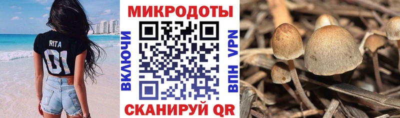 Псилоцибиновые грибы MAGIC MUSHROOMS Шатура