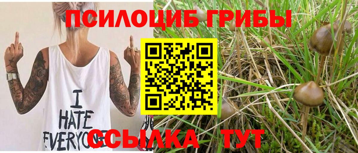 Псилоцибиновые грибы MAGIC MUSHROOMS Шатура