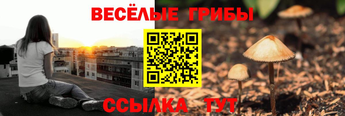 Галлюциногенные грибы мухоморы  наркошоп  Шатура  Галлюциногенные грибы мицелий  Вход с VPN 
