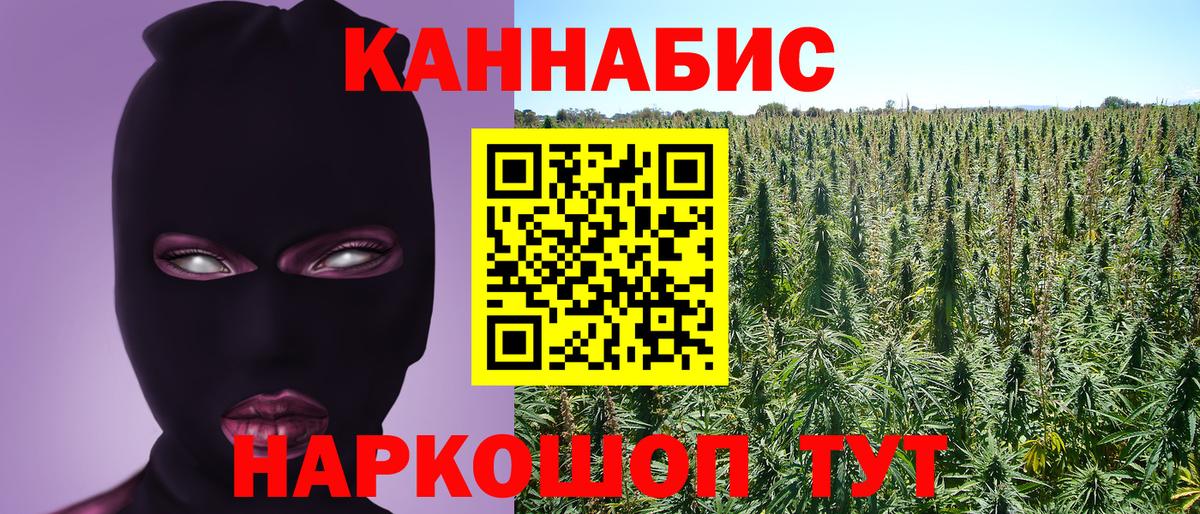 Канабис SATIVA & INDICA  Шишки марихуана OG Kush  Конопля ГИДРОПОН  Шатура  Шишки марихуана план  Вход с VPN 